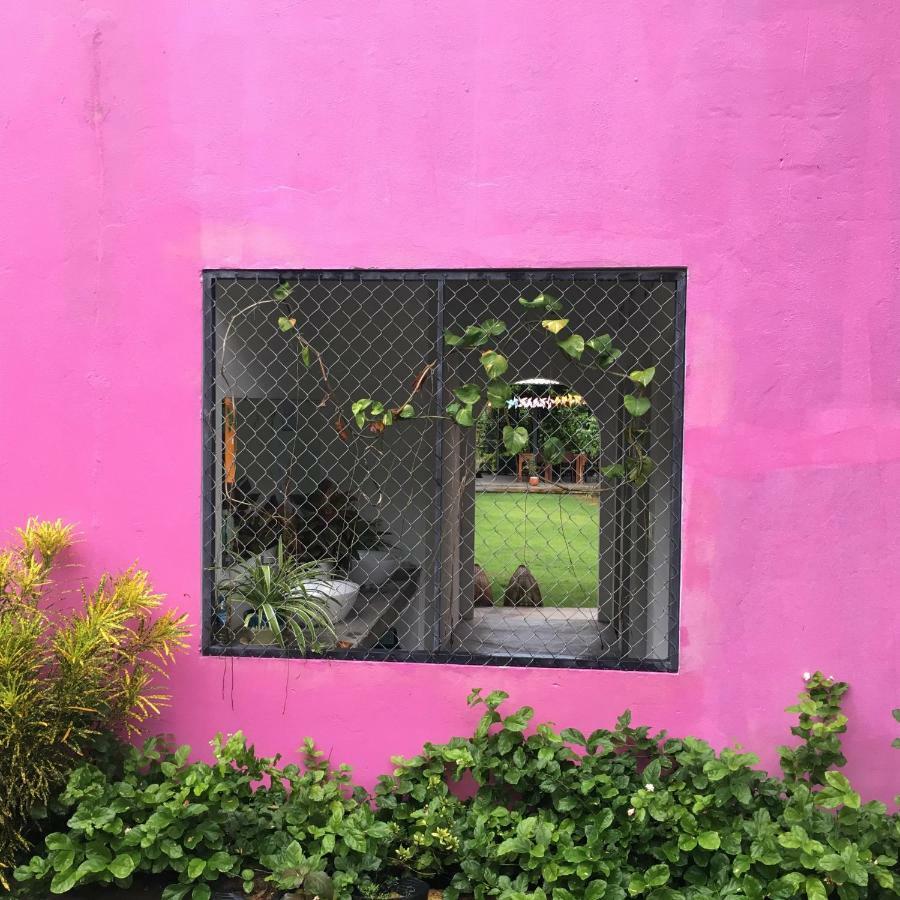 Lana Land Homestay Phu Quoc Exteriör bild
